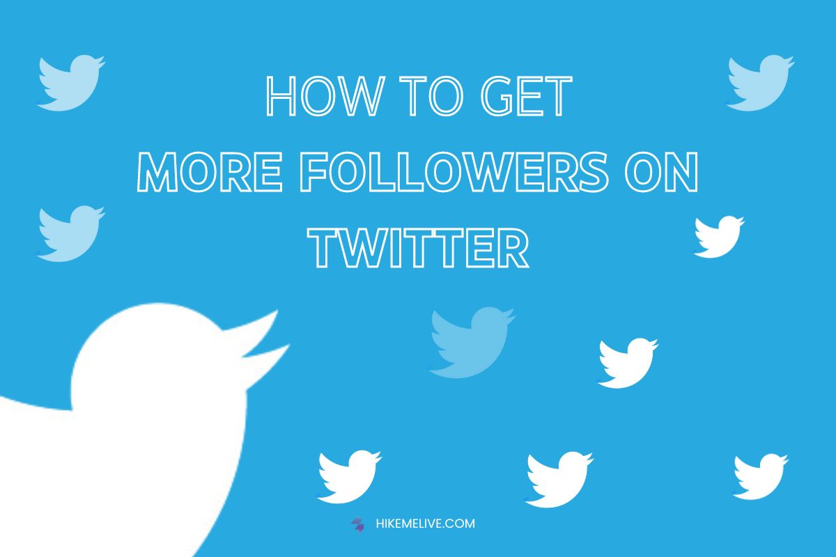 11 Ultimate Steps To Get More Twitter Followers